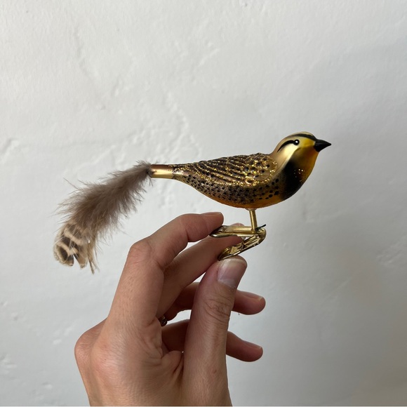 Old World Christmas Meadowlark bird Blown Glass Clip on Ornament feathers - Picture 3 of 16